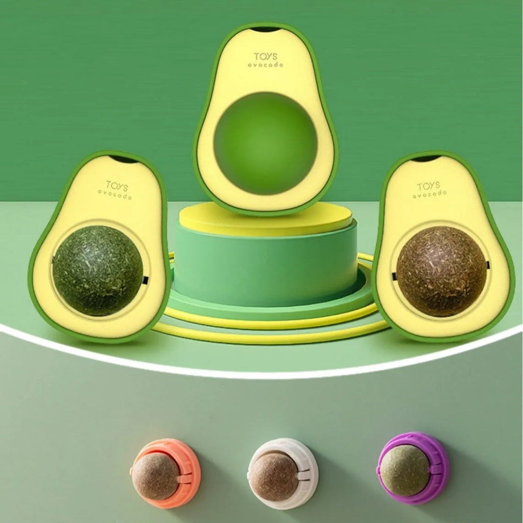 Plastic catnip ball toy in multiple colours with bite-resistant construction for dental care