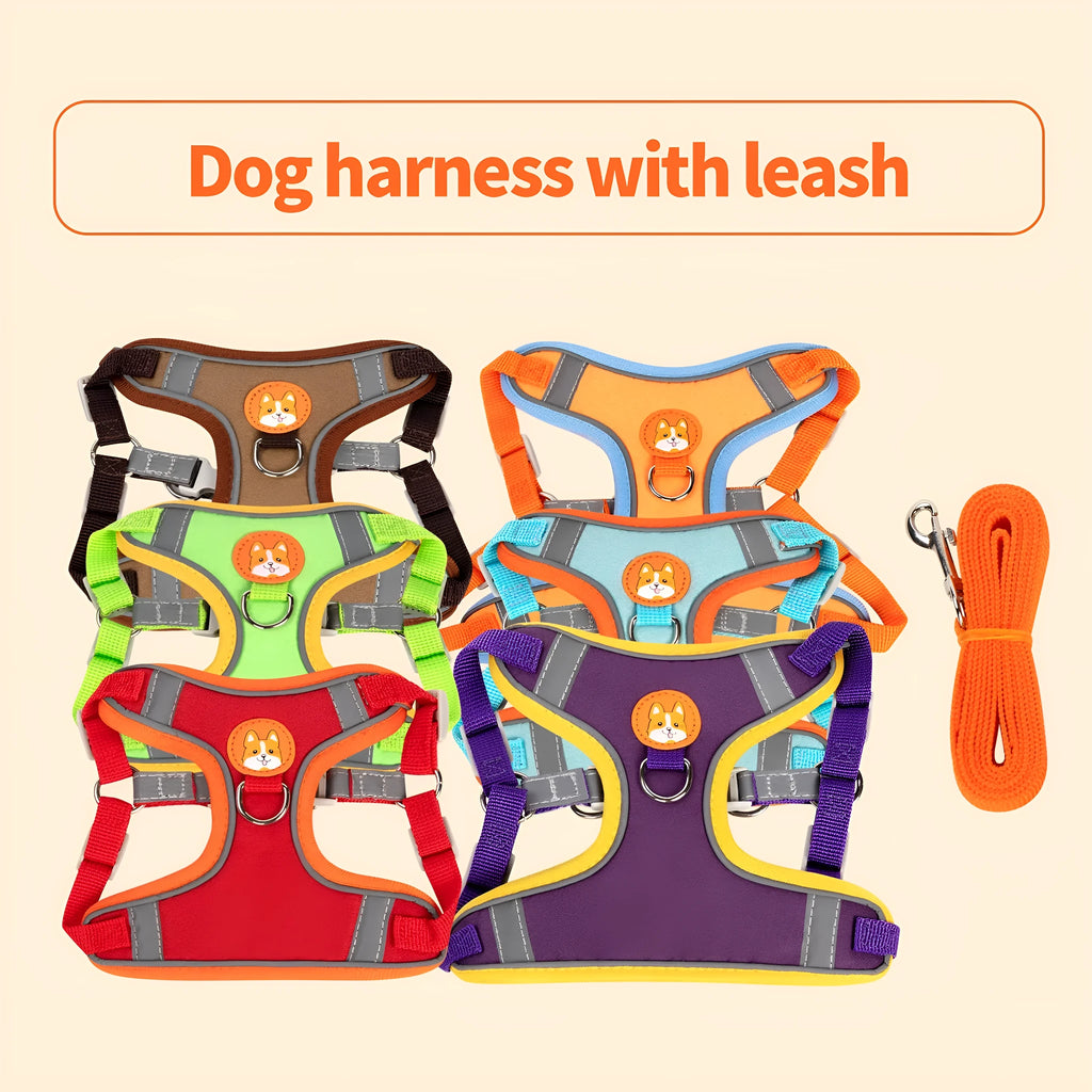 Adjustable rope dog harness in six colours with chest strap for pet control