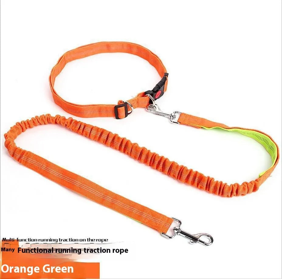 Grey and green two-tone reflective elastic dog leash held in a hand, showing its 2.5cm width.