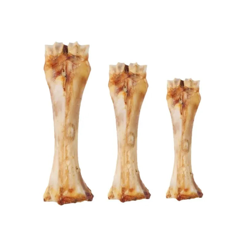 High calcium molar rod chew for puppies in large, medium, and small sizes