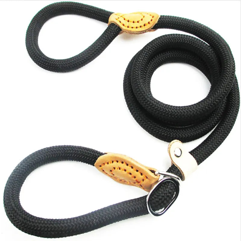 Brown nylon P-chain dog leash with hand-holding rope, 2.1 metres long