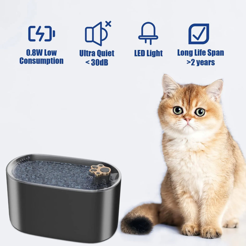 3L automatic pet water fountain in Berlin blue colour with LED light and quiet pump