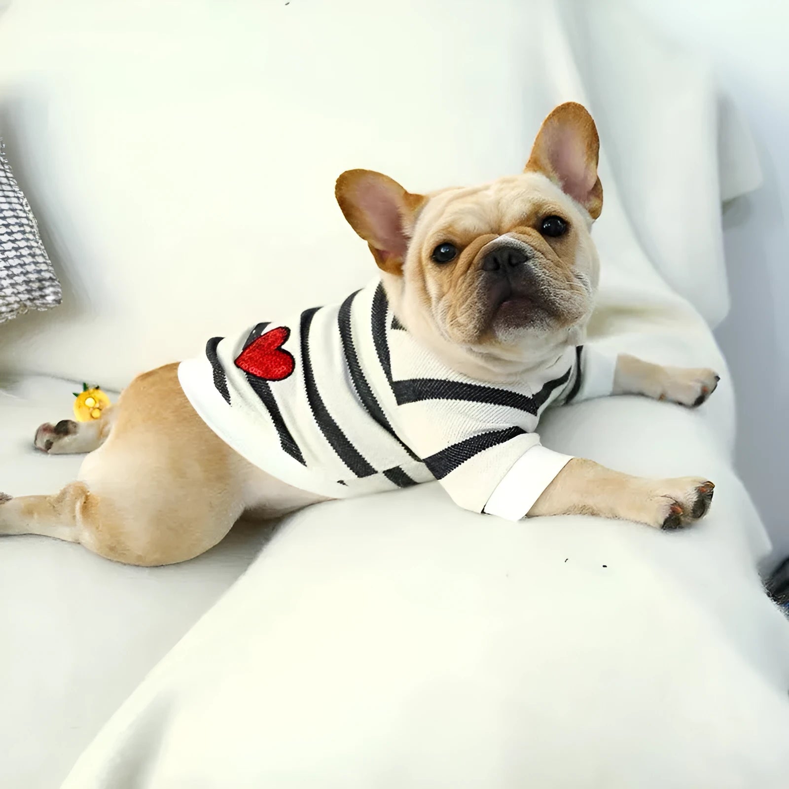 Puppy wearing a light blue breathable cloth summer T-shirt for small dogs