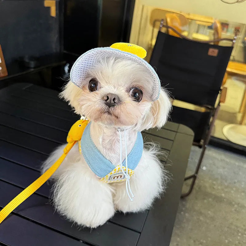 Pet clothing set with cat hat, wire rope pulling rope, and dog harness leash in various sizes