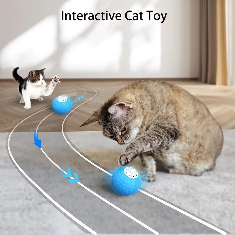 Remote control smart cat ball toy in blue, green, and yellow colours for interactive indoor play