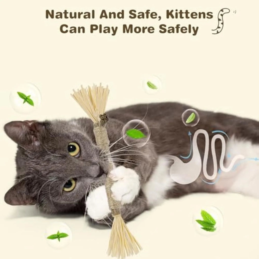 Natural silvervine cat chew sticks 3 pack for dental care and stress relief with thick or fine diameter options