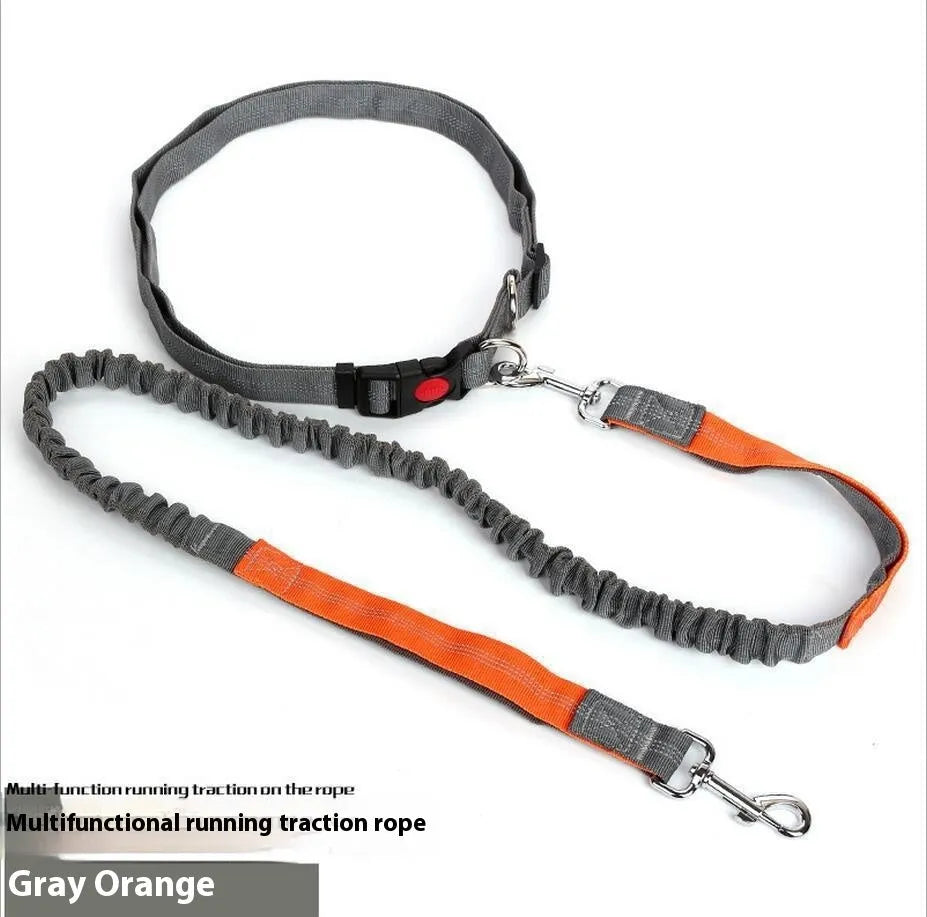 Grey and green two-tone reflective elastic dog leash held in a hand, showing its 2.5cm width.