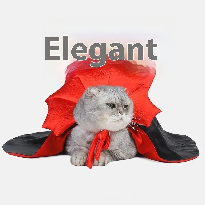 Black and red Halloween costume for cats and dogs with European American style design