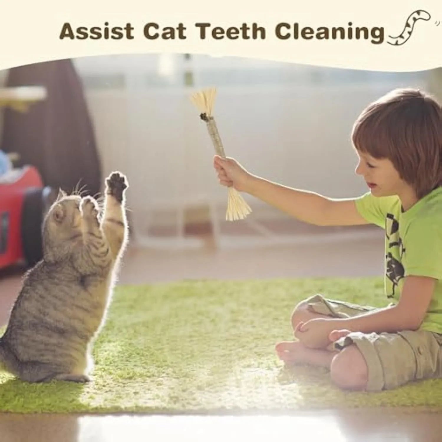 Natural silvervine cat chew sticks 3 pack for dental care and stress relief with thick or fine diameter options