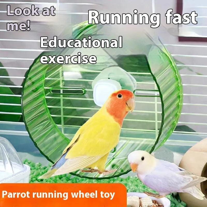 Plastic parrot exercise running wheel toy in transparent and coloured options for birdcages