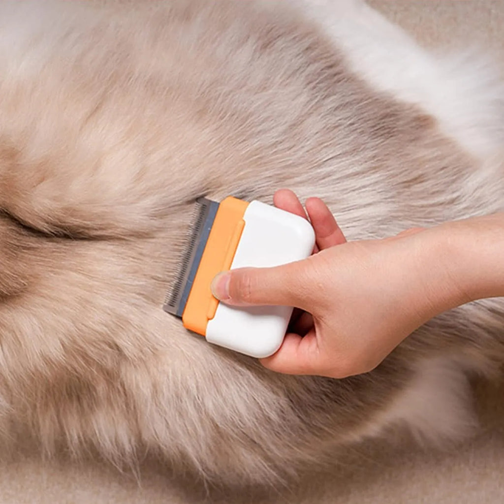Blue double-sided pet grooming comb for cats and dogs on a grey background
