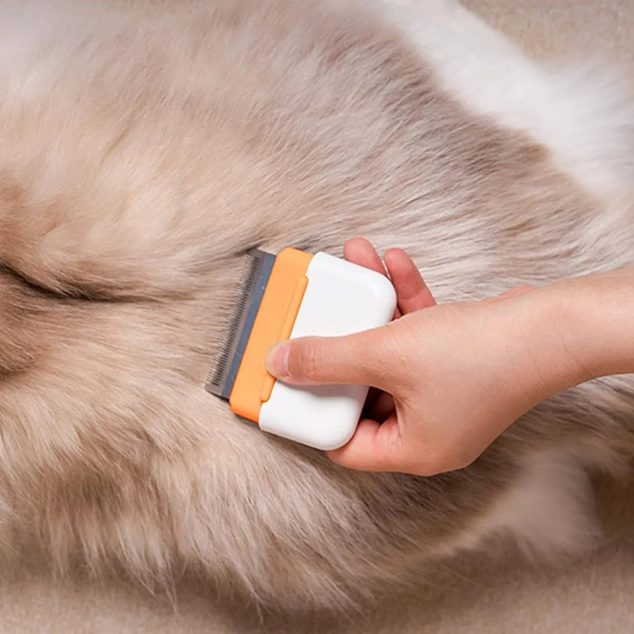 Blue double-sided pet grooming comb for cats and dogs on a grey background