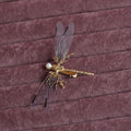 Golden dragonfly-shaped metal alloy headdress with a side clip for hair.