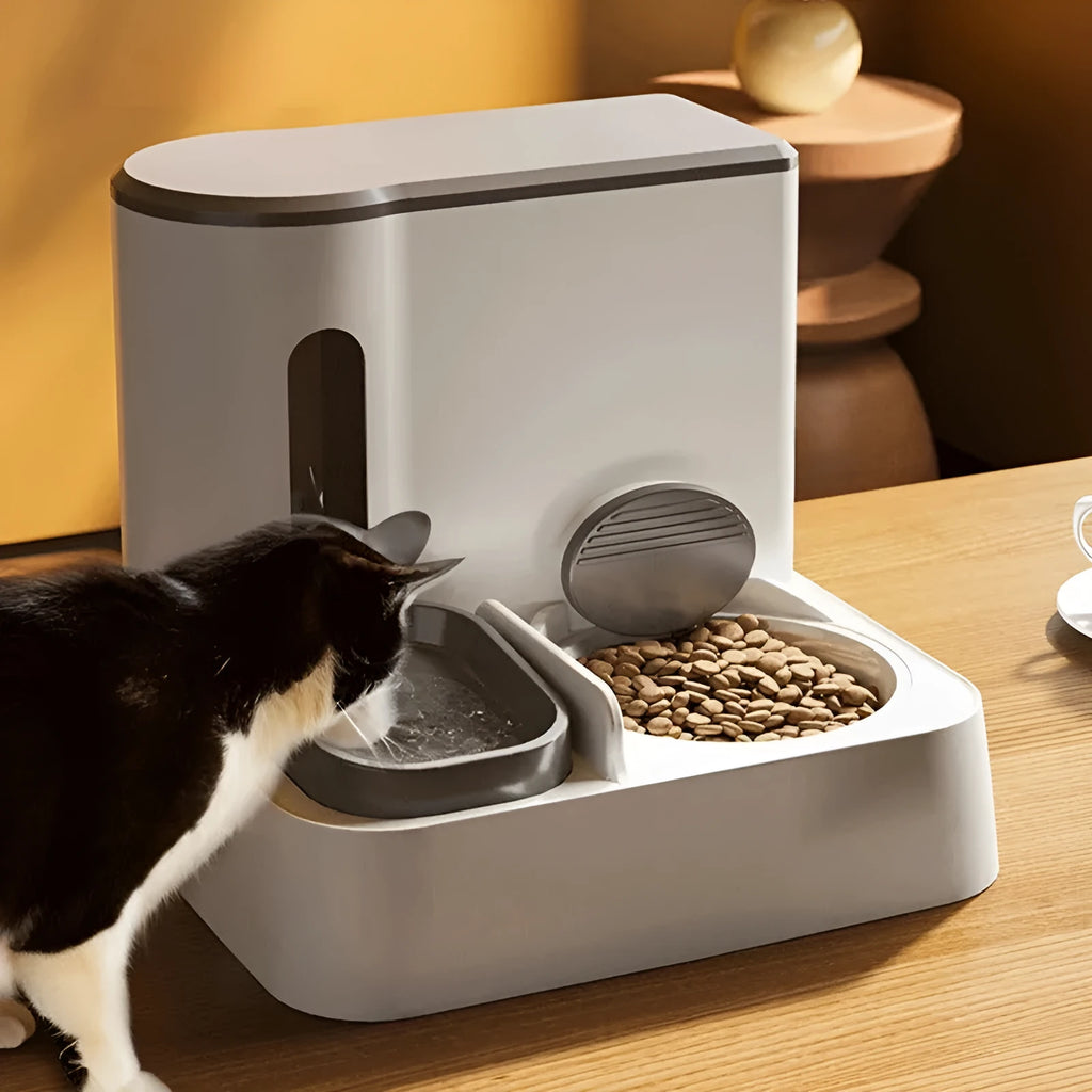 Automatic cat feeder with integrated water dispenser showing grey, green, and yellow colour options