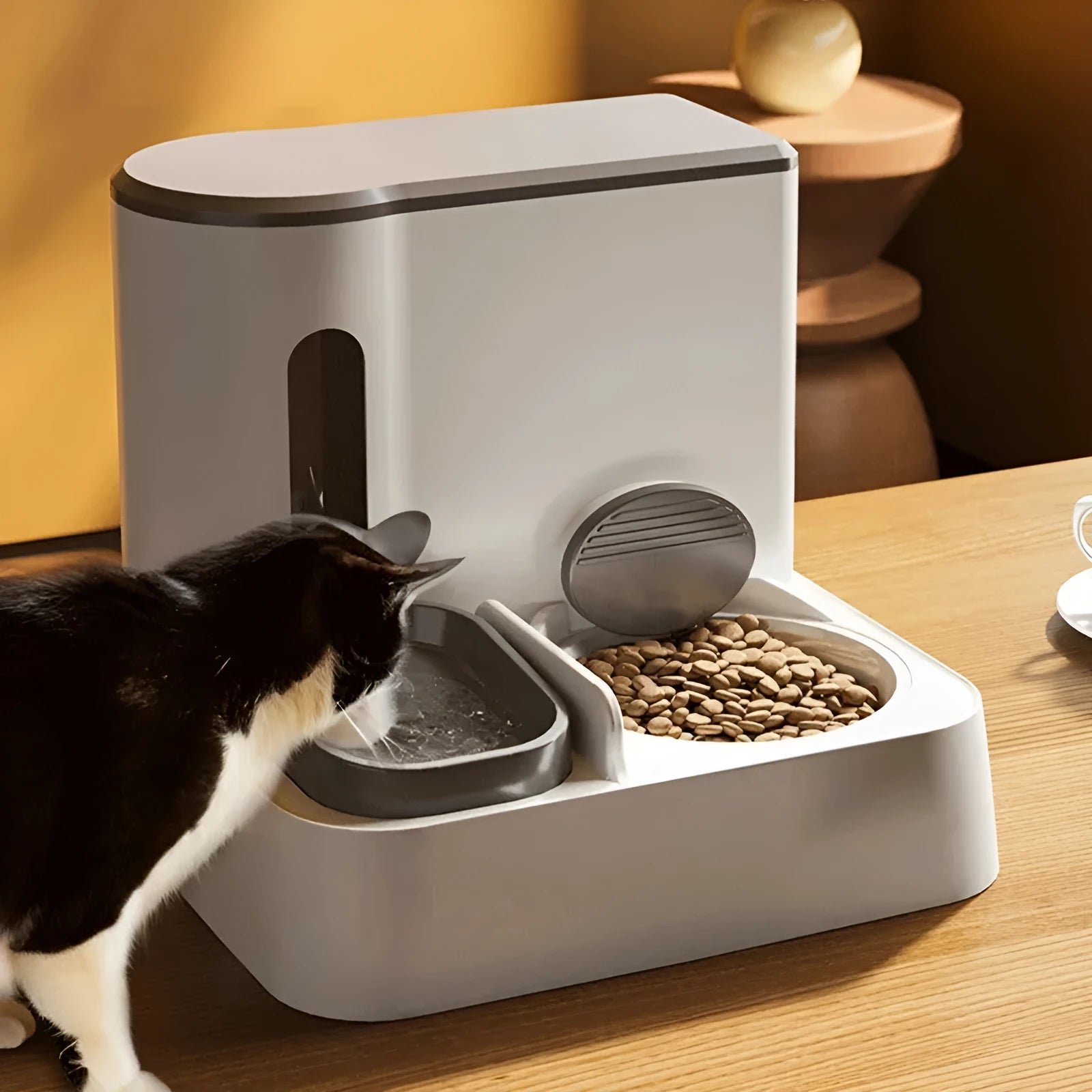 Automatic cat feeder with integrated water dispenser showing grey, green, and yellow colour options