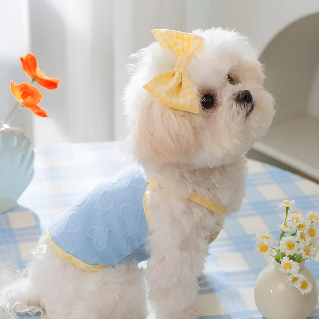 Small dog wearing a blue vest with suspenders and a heart-shaped bow, showing elastic sides.