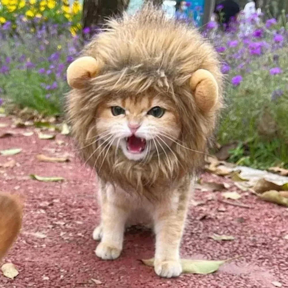 A lion mane wig for cats and small dogs with fluffy artificial hair, plush ears, and an adjustable strap.