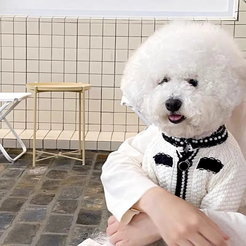Korean style white dog sweater with pearl collar decoration on small breed dog