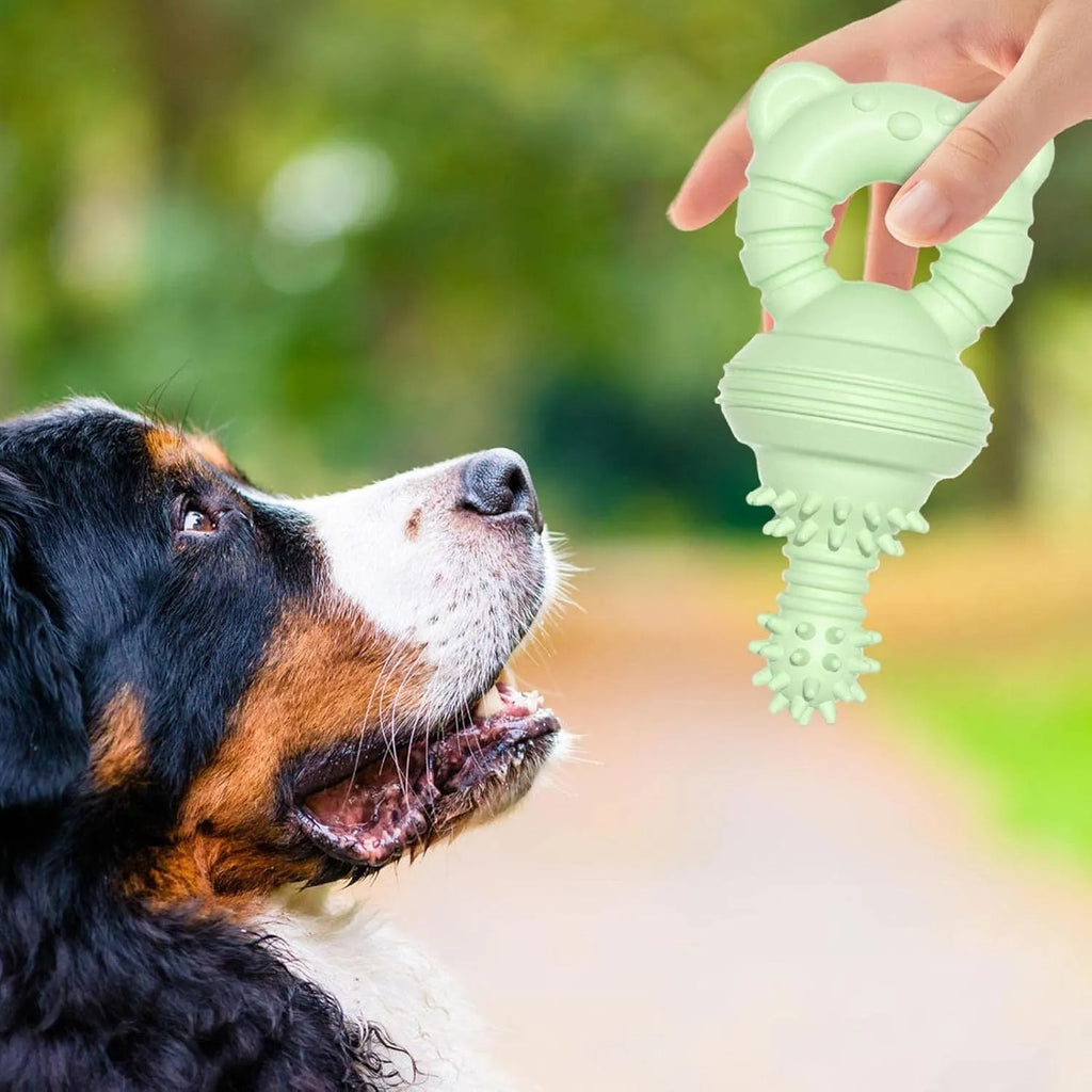 Blue rubber molar dog chew toy with bell for aggressive chewers and teeth cleaning