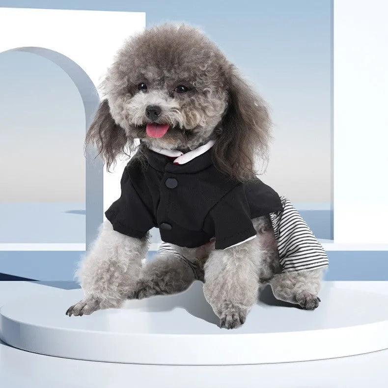 Thin cotton dog clothes for poodles in four-legged pants or skirt styles