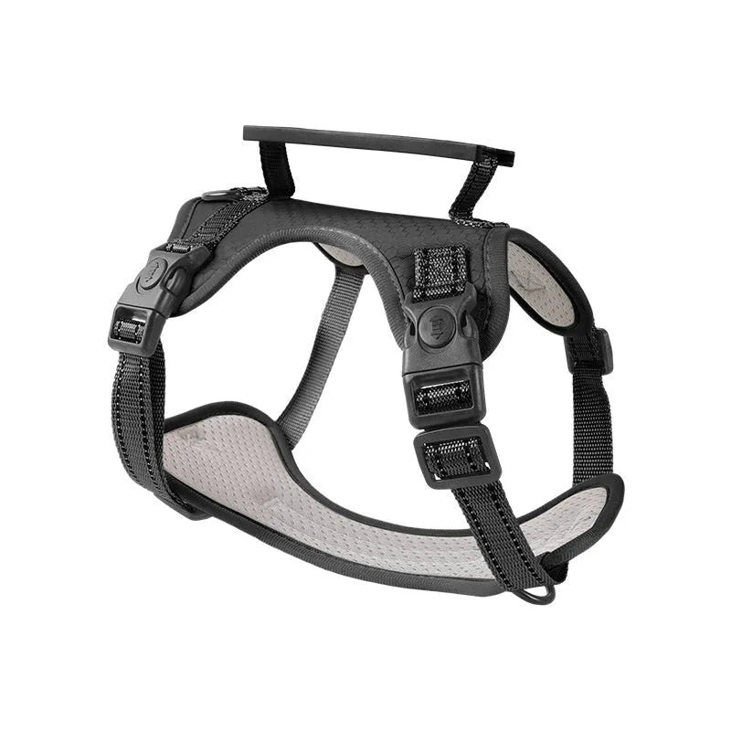 Polyester dog chest harness traction rope in red, shown in a medium size on a dog