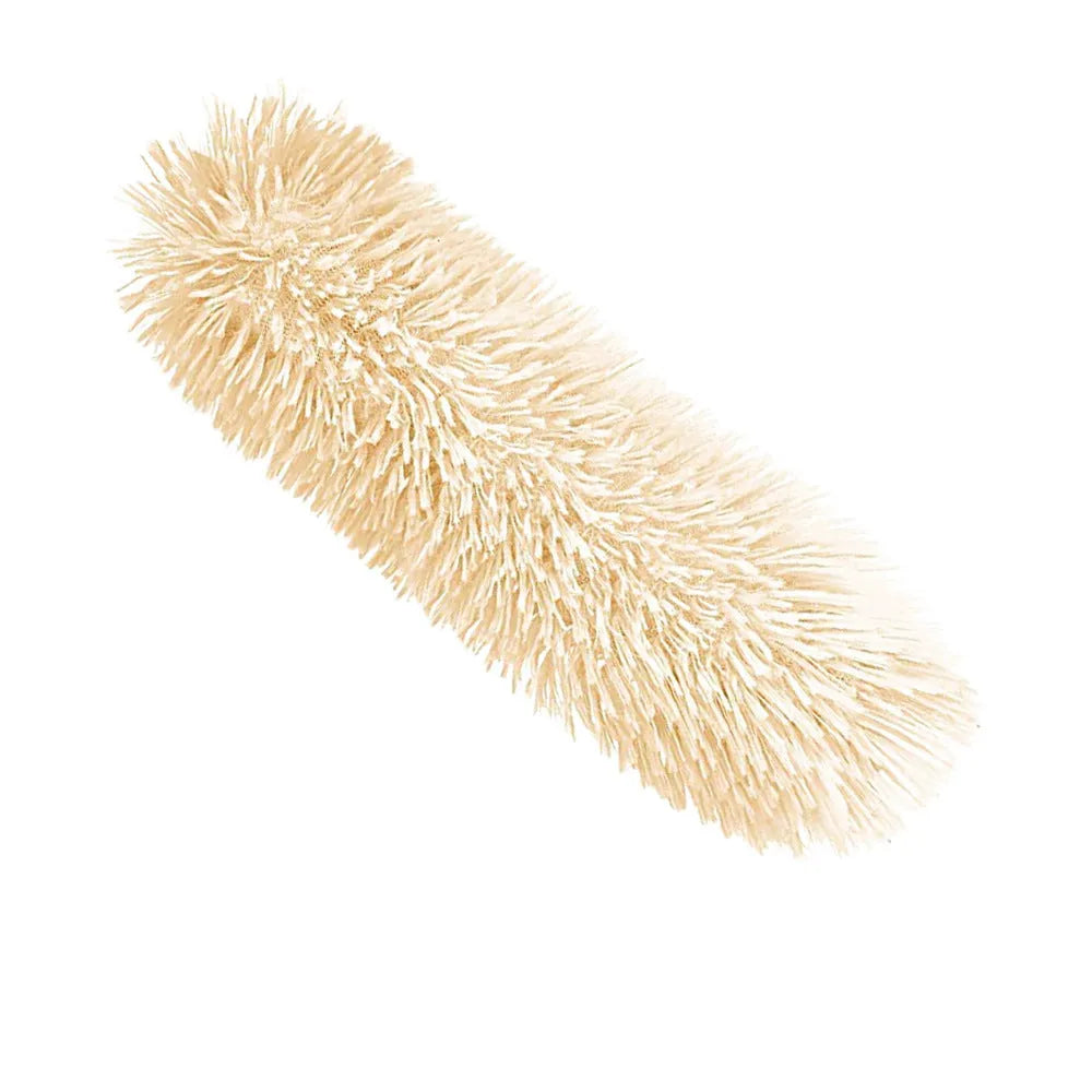 Soft plush interactive cat toy with crinkle sound and catnip filling for indoor play