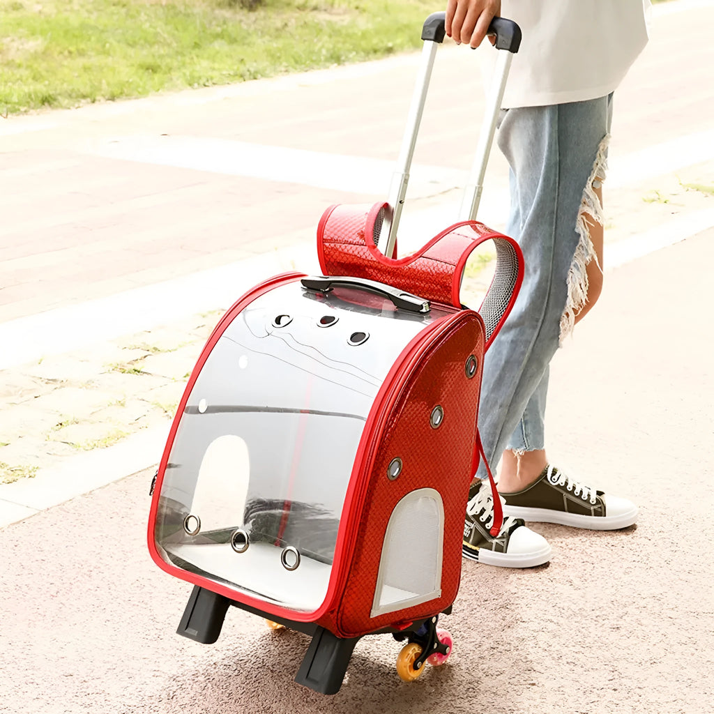 Transparent pet trolley bag with hard sides and Oxford cloth backpack for small dog transport