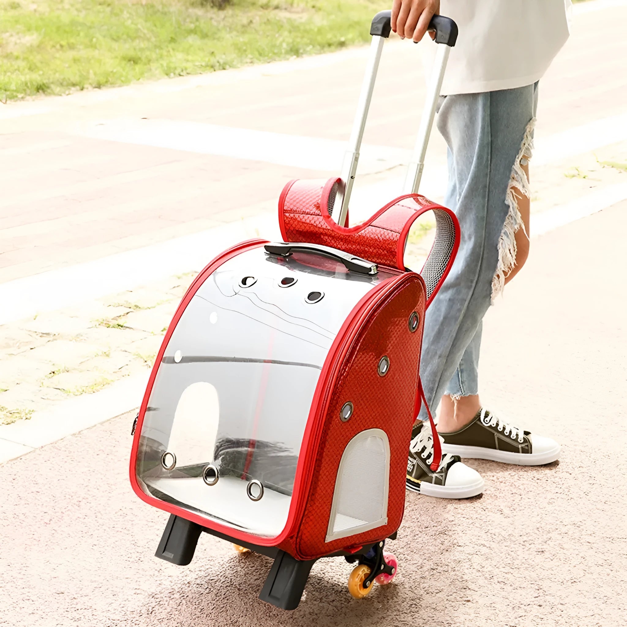 Transparent pet trolley bag with hard sides and Oxford cloth backpack for small dog transport