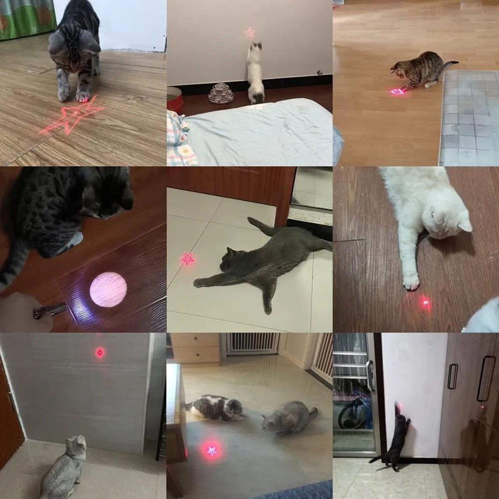 USB-rechargeable infrared cat teaser toy with keychain in black or pink plastic measuring 5x2.5cm