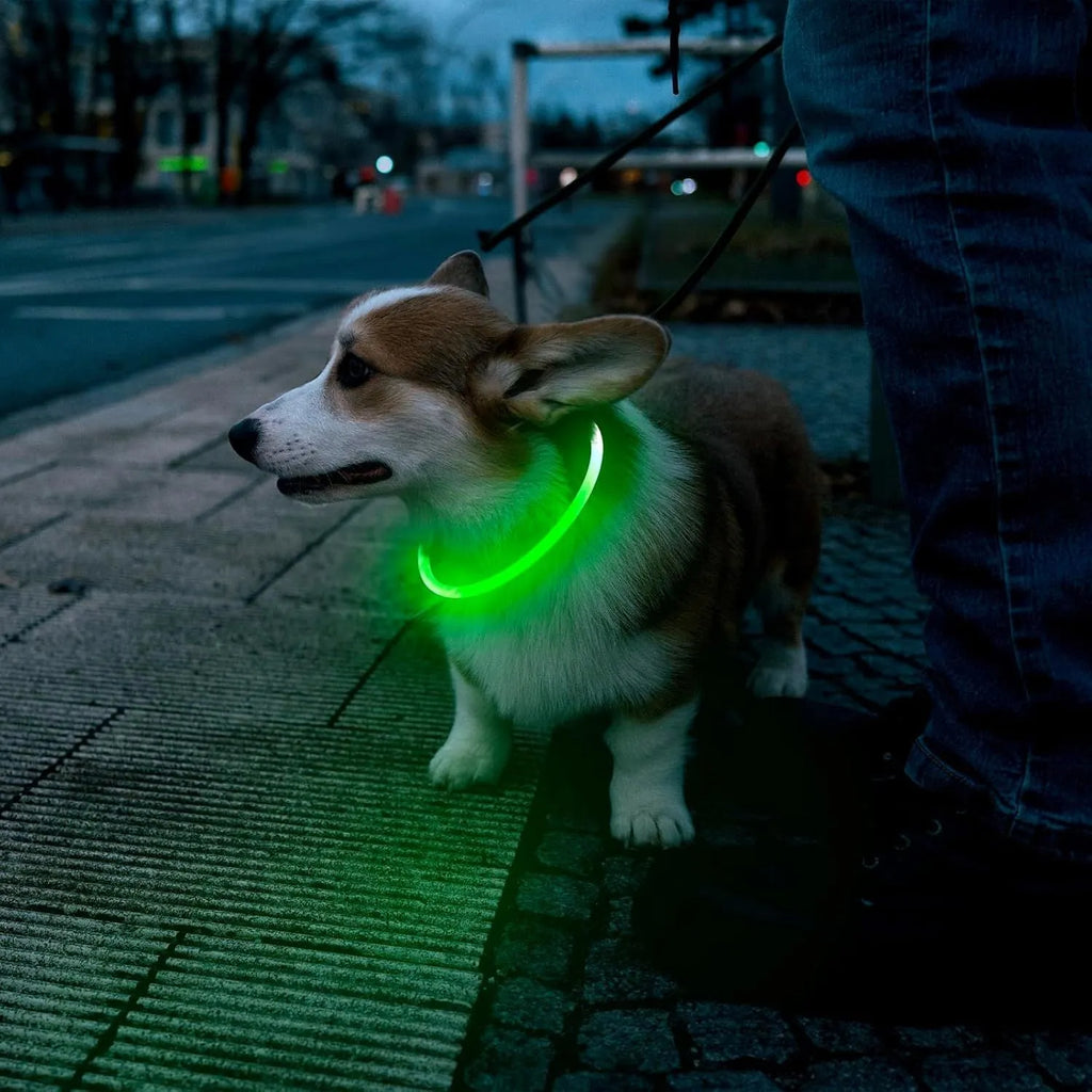 USB rechargeable LED dog collar glowing in dark with adjustable 70cm length