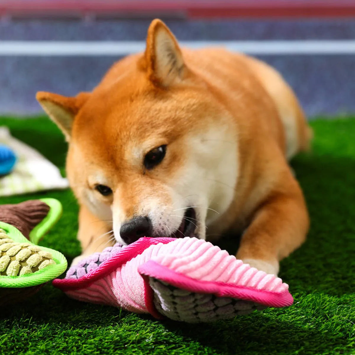 Blue tough plush teddy dog toy with a bone-shaped squeaker and soft corn fleece lining for bite-resistant play.