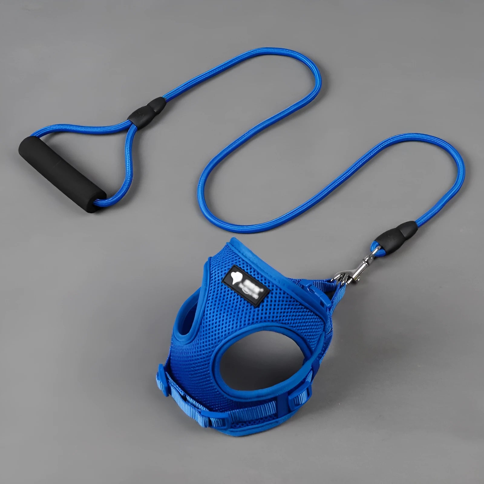 Small dog leash and collar set with adjustable collar and foam handle in blue, pink, red, or yellow colours