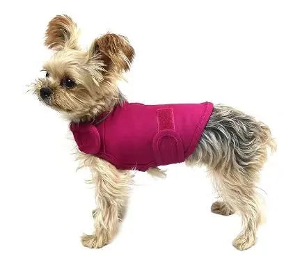 Brown dog anxiety relief tank top jacket on canine model showing casual pet clothing design