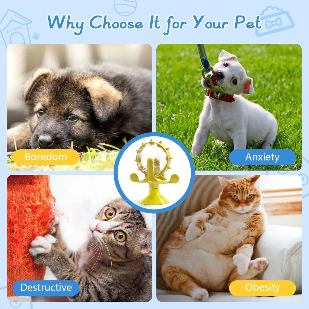 Interactive pet puzzle feeder toy with spinner and suction cup base in assorted colours