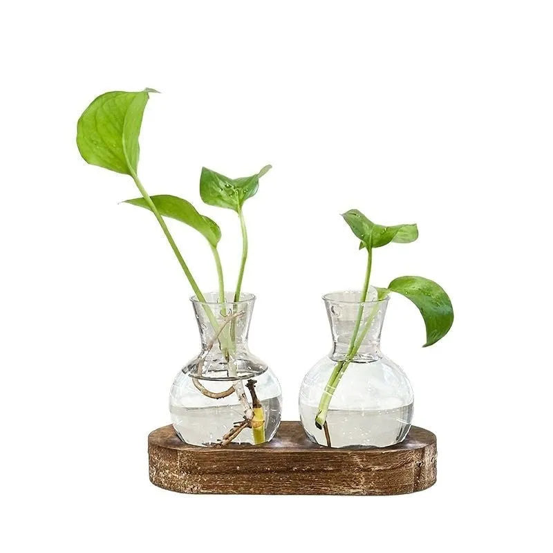 Wooden frame transparent hydroponic vase decoration in modern simplicity style