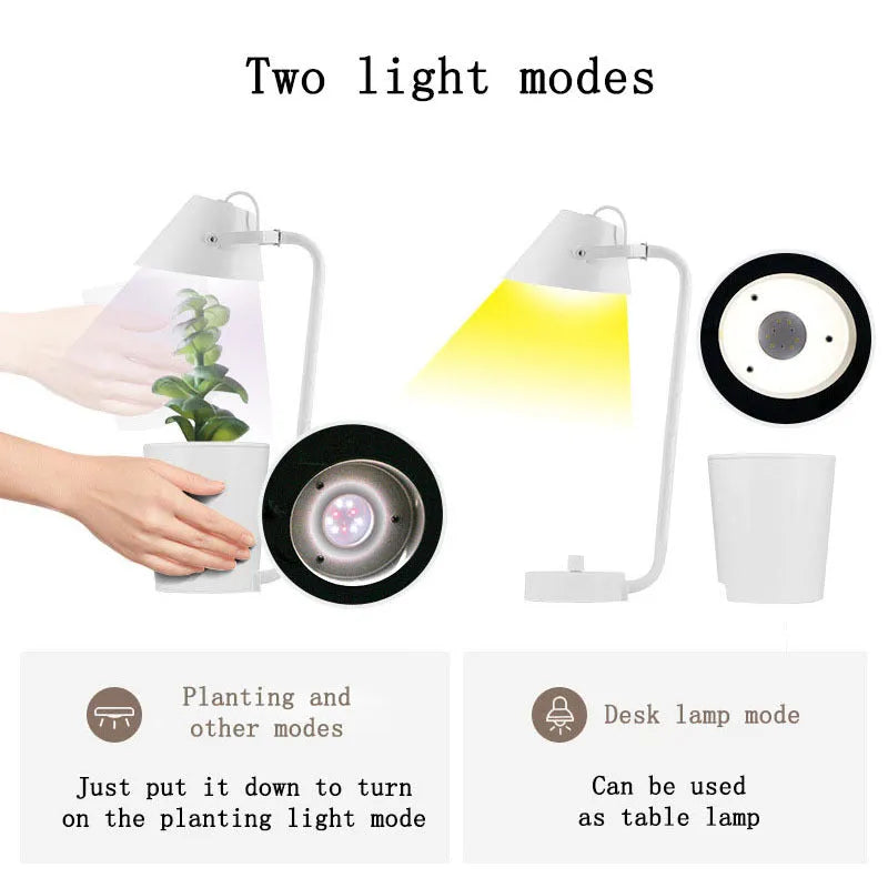 White plastic desktop hydroponic growing system for soilless indoor plant cultivation
