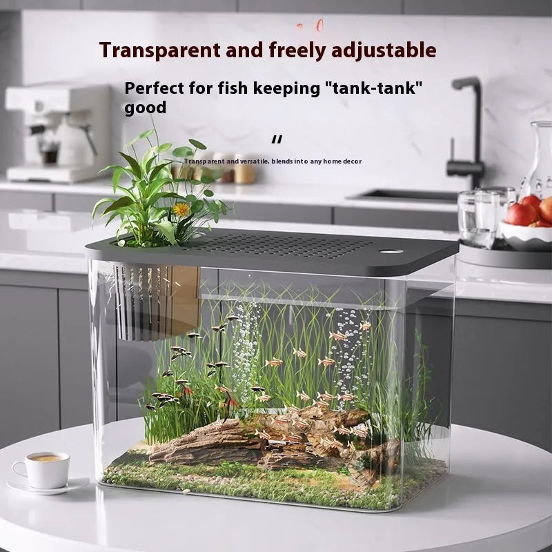 Black and white plastic betta fish tanks with covers, medium size 32cm long mini aquariums.