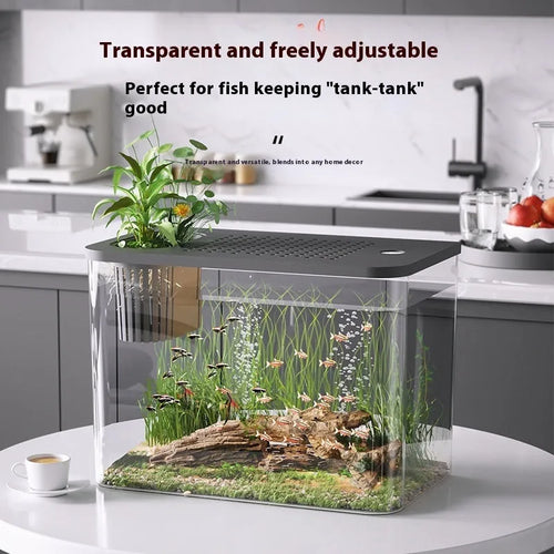 Black and white plastic betta fish tanks with covers, medium size 32cm long mini aquariums.
