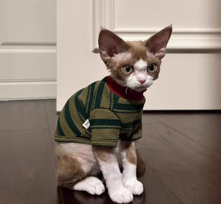 Dark green striped two-legged dog vest on a small pet, autumn daily wear.