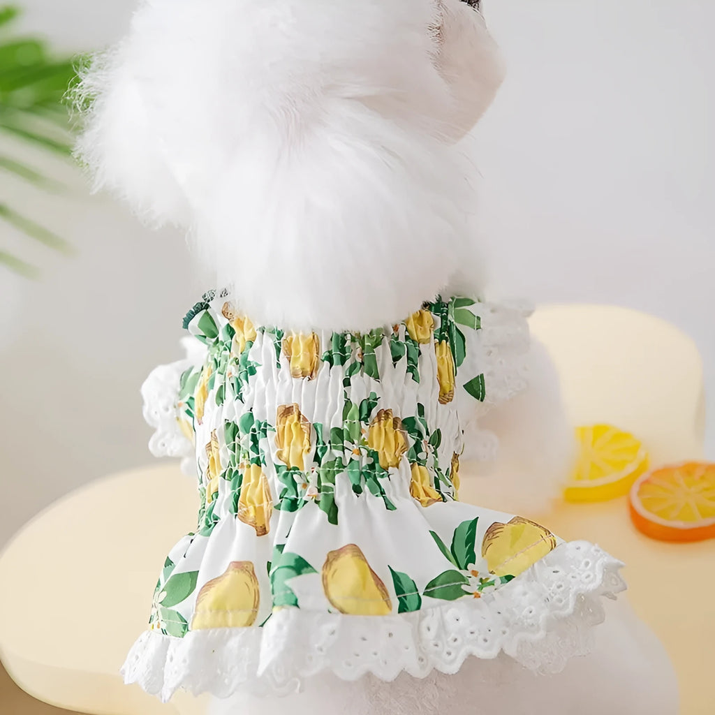 Rock yellow lemon polyester dog skirt with princess style and strap design for small dogs