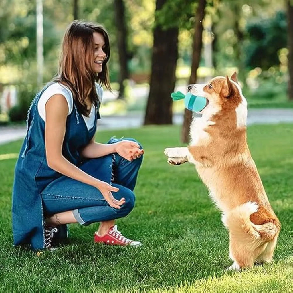 Blue durable rubber interactive dog treat dispenser puzzle ball toy for medium large dogs
