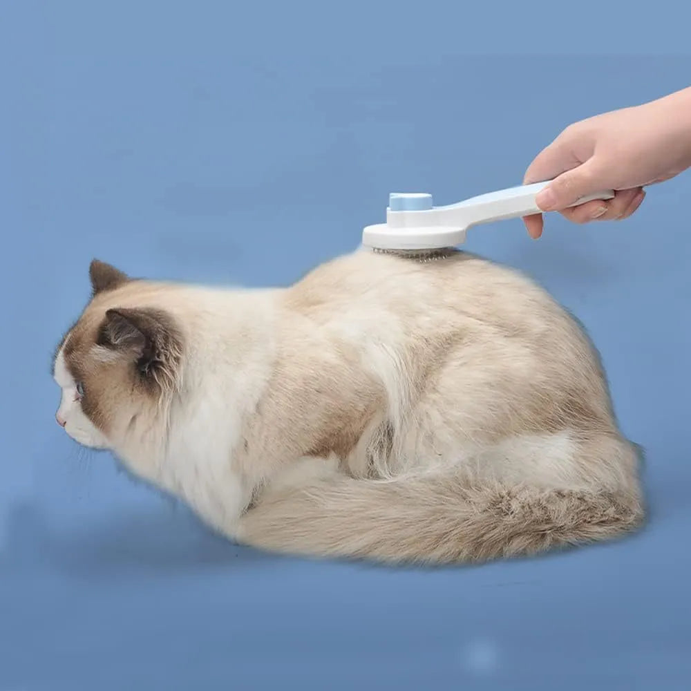 Blue self-cleaning cat and dog brush with rubber-tipped pins and a non-slip handle on a white background.