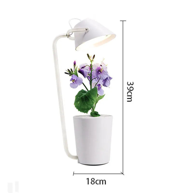 White plastic desktop hydroponic growing system for soilless indoor plant cultivation