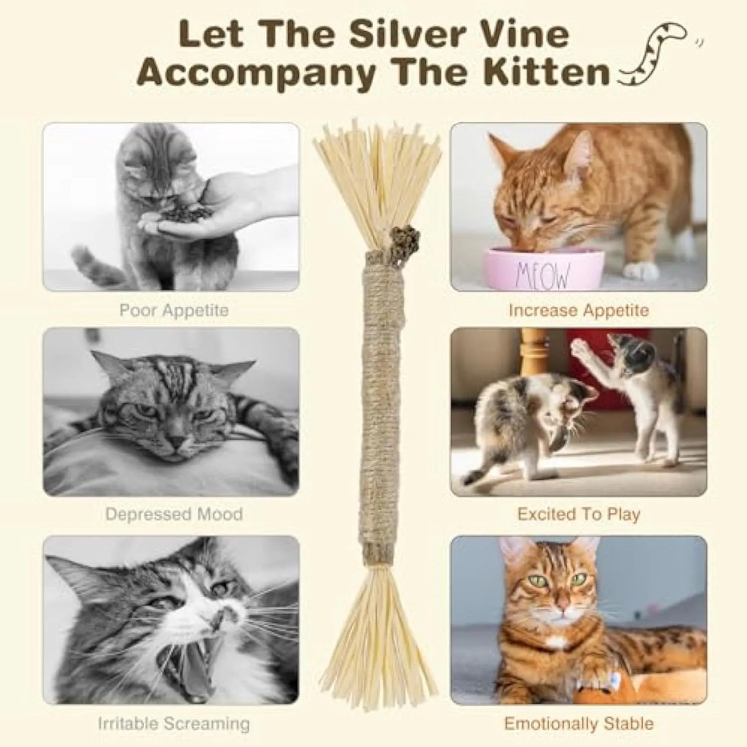 Natural silvervine cat chew sticks 3 pack for dental care and stress relief with thick or fine diameter options