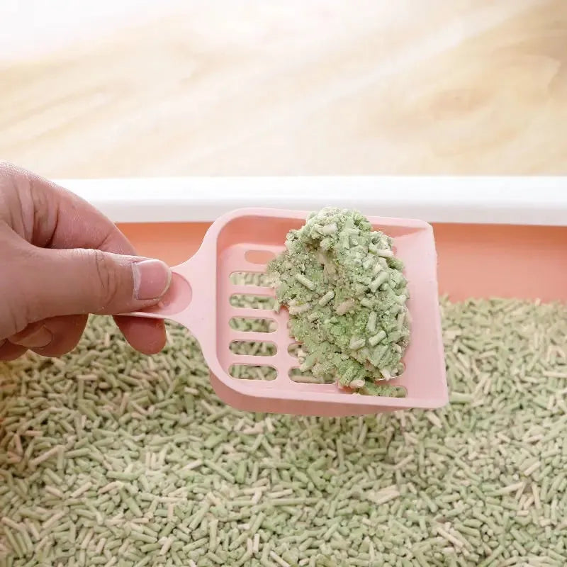 Blue plastic cat litter scoop measuring 20cm length for pet toilet cleaning