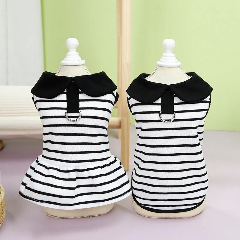 Striped cotton T-shirt and matching skirt pet clothing set for summer