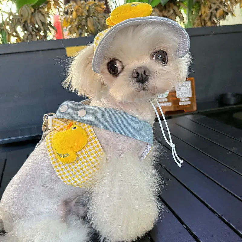 Pet clothing set with cat hat, wire rope pulling rope, and dog harness leash in various sizes