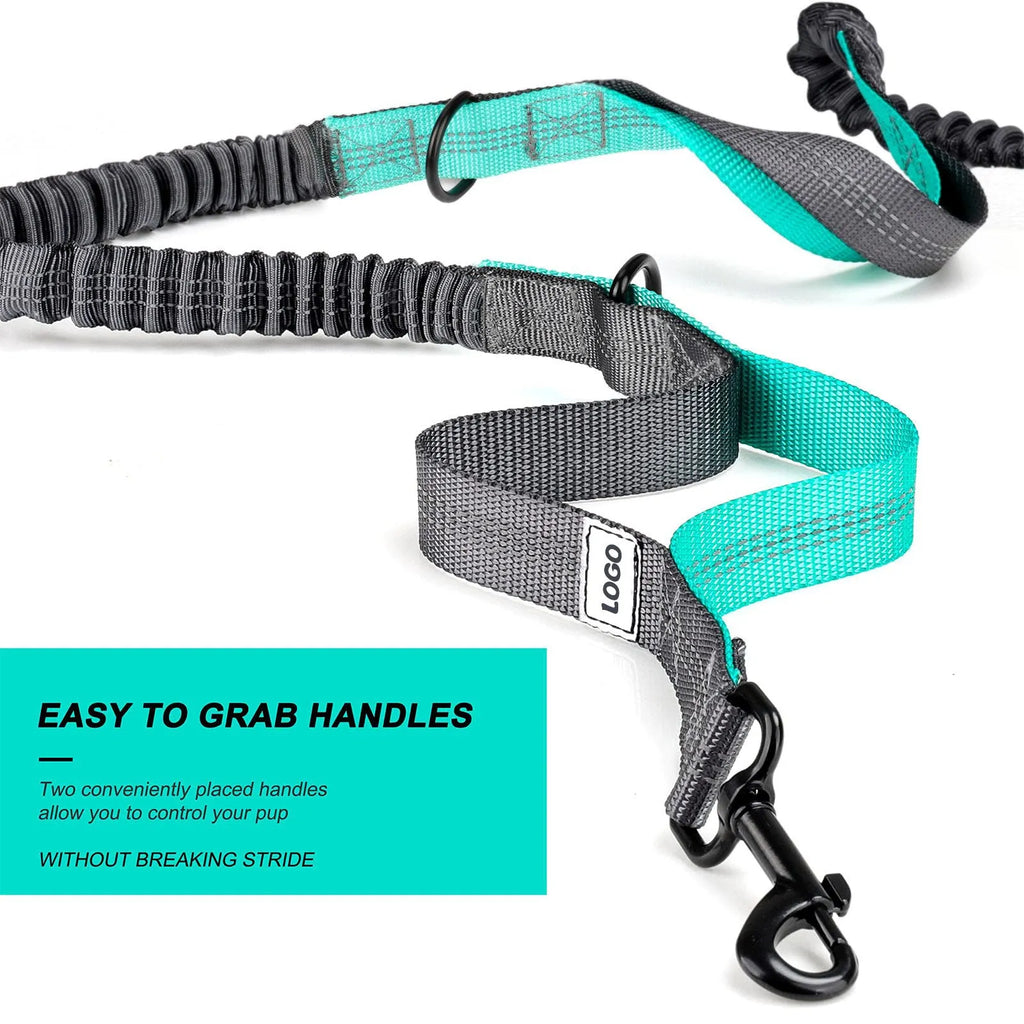 Black nylon outdoor pet training bag set with waist bag and collar leash for dog walking