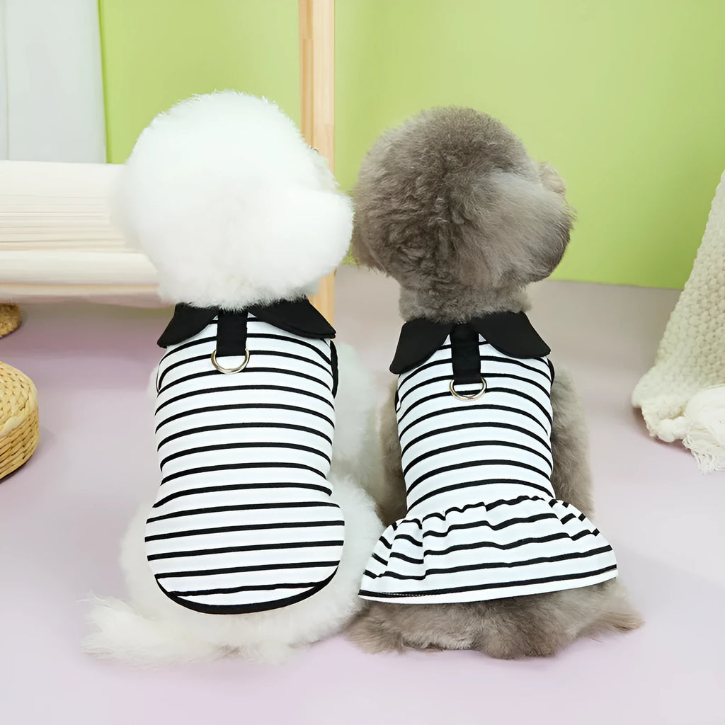 Striped cotton T-shirt and matching skirt pet clothing set for summer