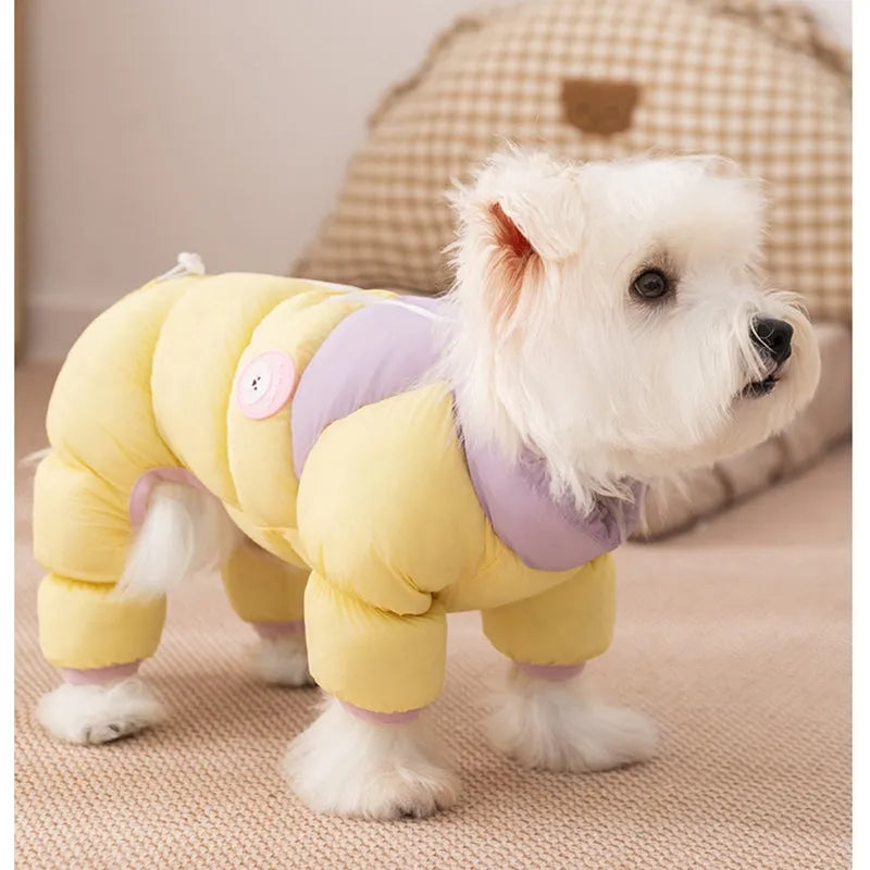 Macaron blue thickened cotton zipper pet jacket for small dogs and cats